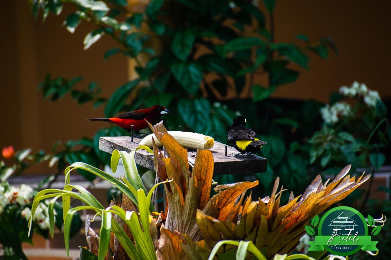 Finca Hotel Betel San Carlos Zewnętrze zdjęcie