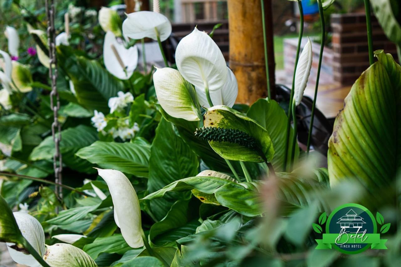 Finca Hotel Betel San Carlos Zewnętrze zdjęcie